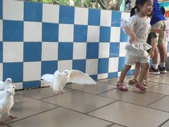 -广州花之恋城堡酒店