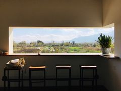 -翠田Green Field Kitchen