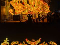 -武汉园博园(武汉自然博物馆)