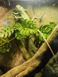 -酷嗒动物文化乐园(cutezoo西溪乐天城店)