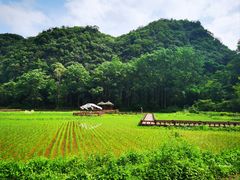 -高荡千年布依古寨旅游景区