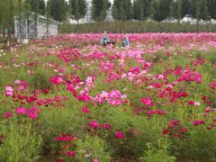 -兰陵国家农业公园