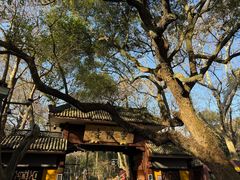 -灵顺寺