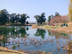 -两河城市森林公园