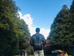 -北海道神宫