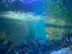 -常州海昌海洋探索馆