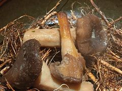 -天水蔬食料理(树德之光店)