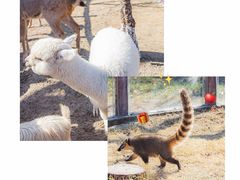 -茅山东方盐湖城景区