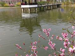 -苏州上方山国家森林公园