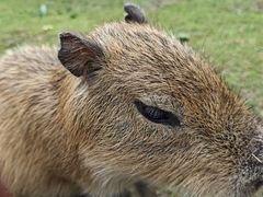 -鄂尔多斯野生动物园