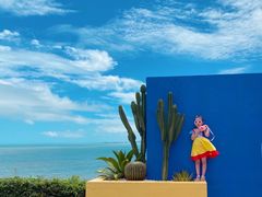 -漳州滨海火山岛自然生态风景区