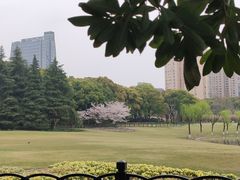 -黄兴公园