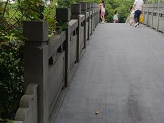 -四海公园(南山区)