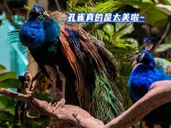 -正佳极地海洋世界