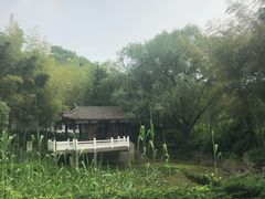 -求雨山文化公园