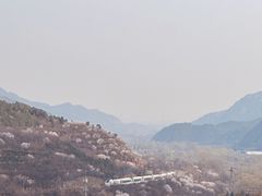 -居庸关长城
