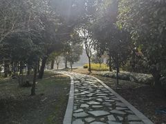 -同里国家湿地公园