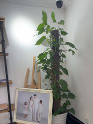 -爱儿美儿童摄影(五路居花园别墅店)