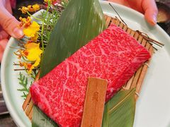 -老乾杯(深圳湾万象城店)