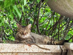 -巍阁高端月子会所