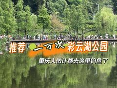-重庆彩云湖湿地公园