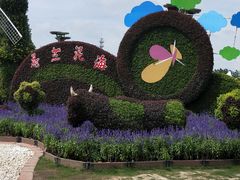 -荷兰花海