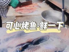 -可心烤鱼