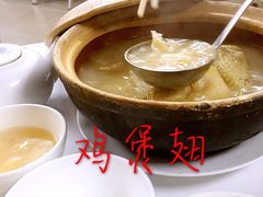 -新陶陶酒家