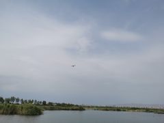 -包头南海湿地景区