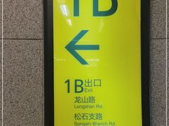 -大龙山(地铁站)