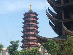 -长兴太湖图影湿地文化园