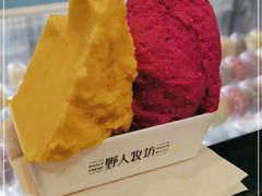 -野人先生现做冰淇淋(西安赛格店)