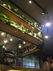 -HIPSTER形象设计