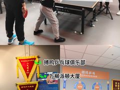 -搏鸣乒乓球俱乐部(万柳店)