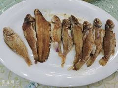 -鹏城人家海鲜酒家·23年老字号(较场尾店)
