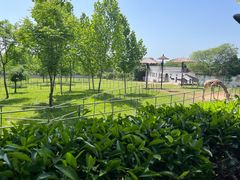 -合肥野生动物园