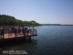 -丁香湖公园