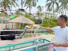 -三亚亚龙湾天域度假酒店