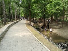 -白水寺森林公园
