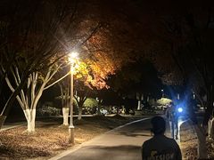 -瑞幸咖啡(南京六合阿尔卡迪亚店)