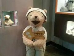 -济州岛泰迪熊博物馆