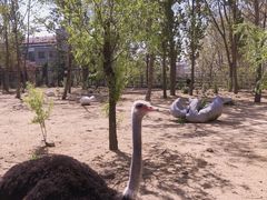 -大连森林动物园