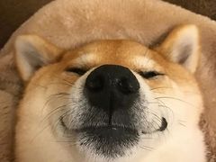 -张一元(前门店)