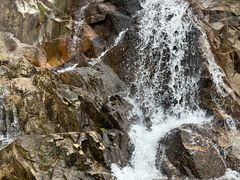 -海南霸王岭国家森林公园