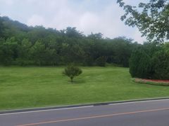 -棒棰岛宾馆景区