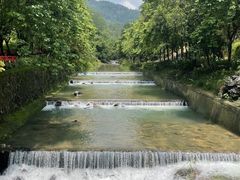 -广州白江湖森林公园