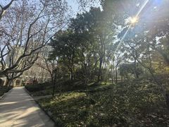 -徐家汇源景区-衡山公园