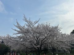 -玄武湖景区-情侣园游乐场