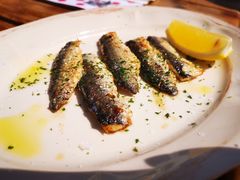 -TOMATITO(无限极荟店)