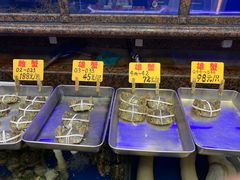 -金米箩大酒店(五角场店)